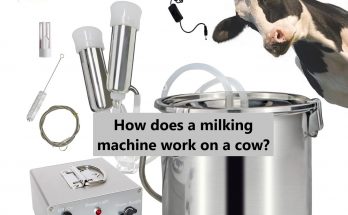 milking machine